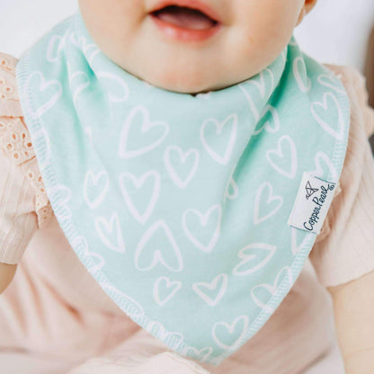 4 Pack Baby Bandana Bibs - Cheery
