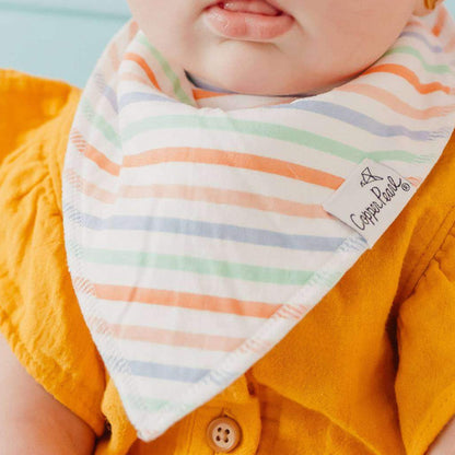 4 Pack Baby Bandana Bibs - Cheery