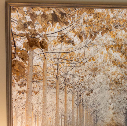 Avenue Of Trees Artwork-Renaissance Design Studio