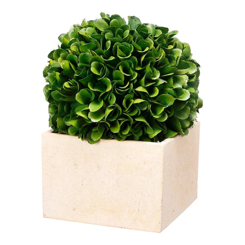Boxwood Topiary Medium Artificial Plant one only . reduced !-Renaissance Design Studio