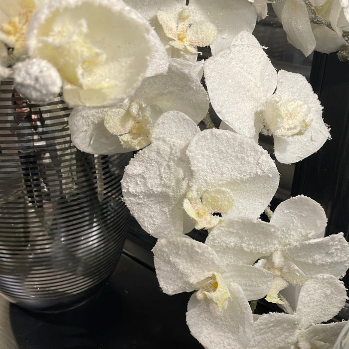Frosted 120 cm white orchid reduced-Renaissance Design Studio