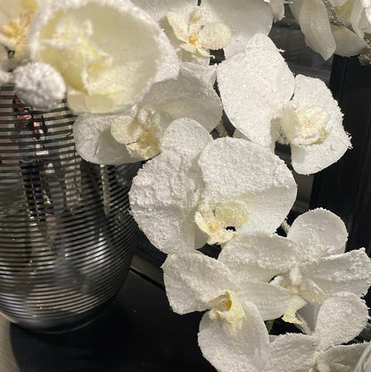 Frosted 120 cm white orchid reduced-Renaissance Design Studio