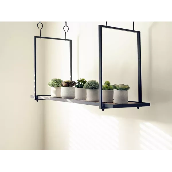 Jungle Garrigue Plant in Pot-Renaissance Design Studio