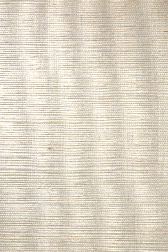 Oyster White
