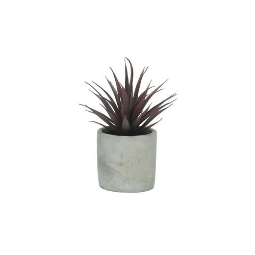 Purple Jungle Plant in cement pot-Renaissance Design Studio