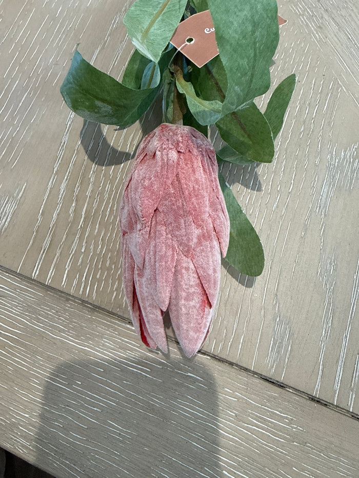 Protea single stem pink-faux plants-Renaissance Design Studio