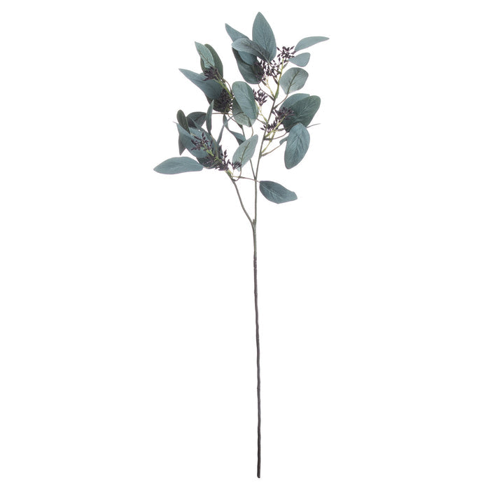 Seeded Eucalyptus Stem-Renaissance Design Studio