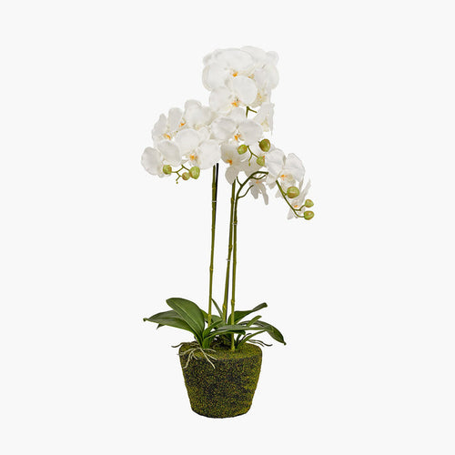 White Orchid in Moss Medium-Renaissance Design Studio